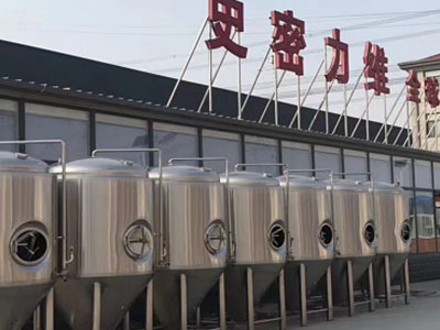 枞阳精酿啤酒设备厂—如何判断精酿啤酒设备的密封件需要更换？